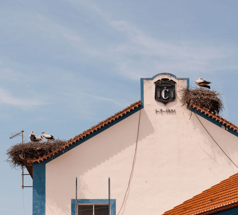 Espirito da Comporta