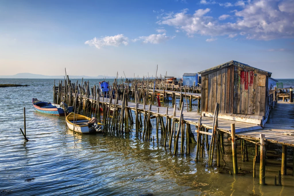 comporta-carrasqueira