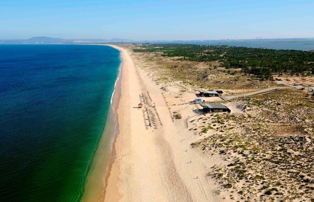 Beach club comporta