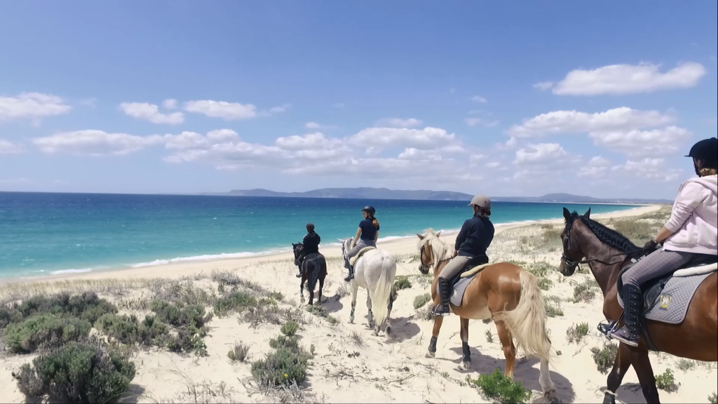 comporta-horseriding