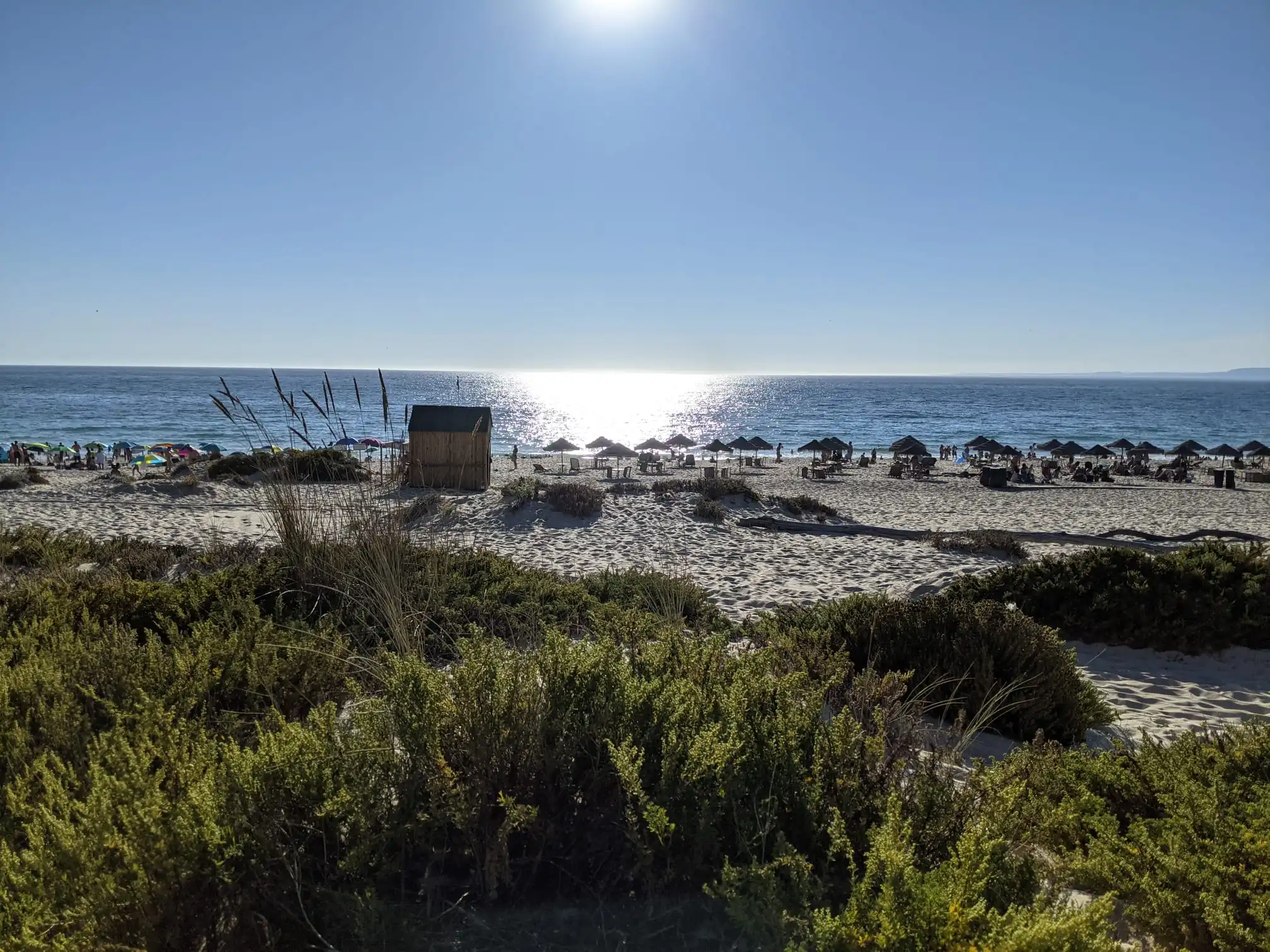 carvalhal-comporta