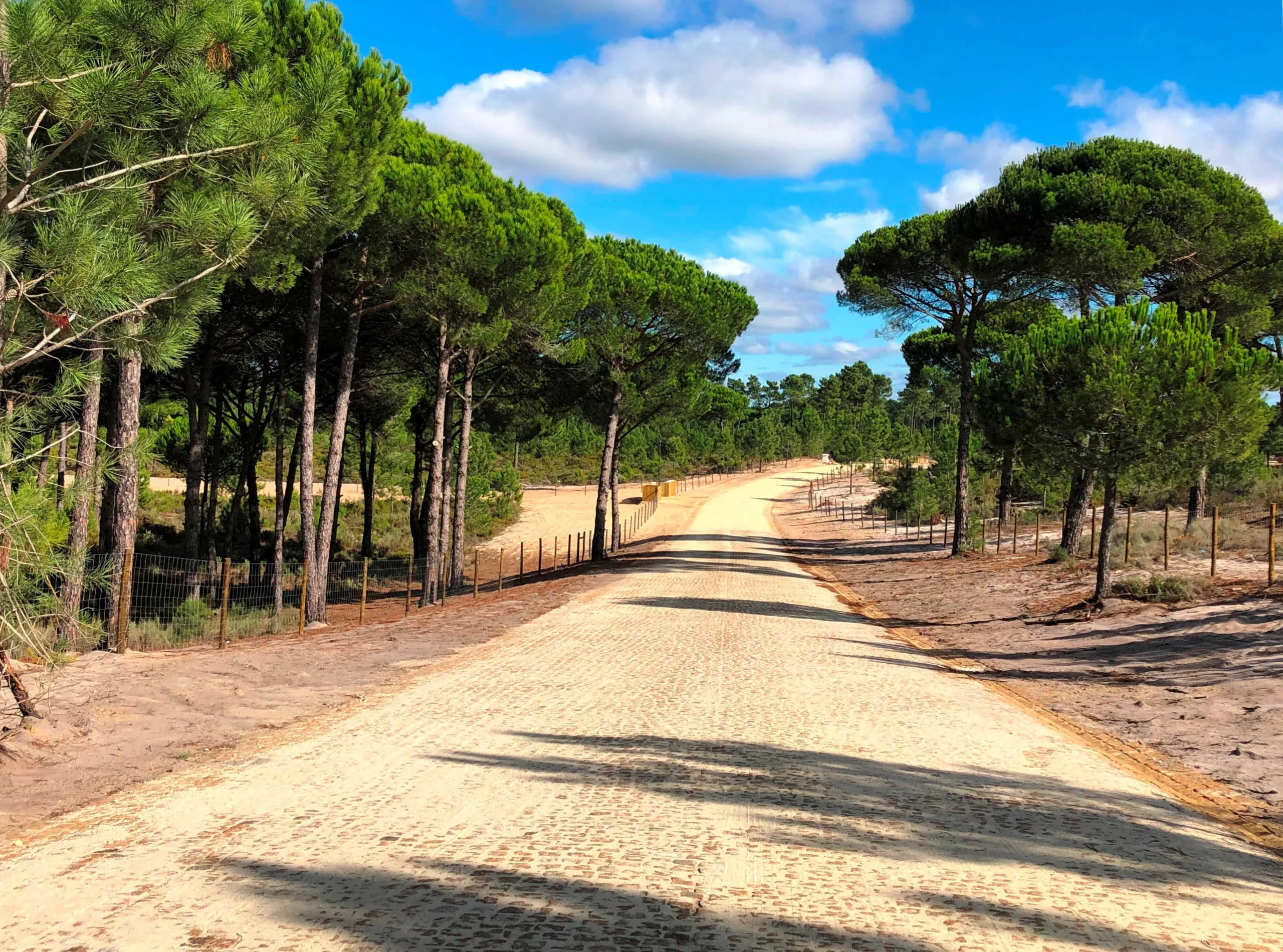 comporta-alentejo