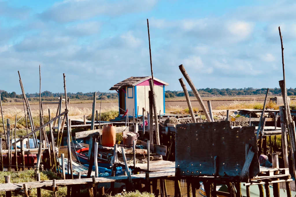 Carrasqueira-comporta