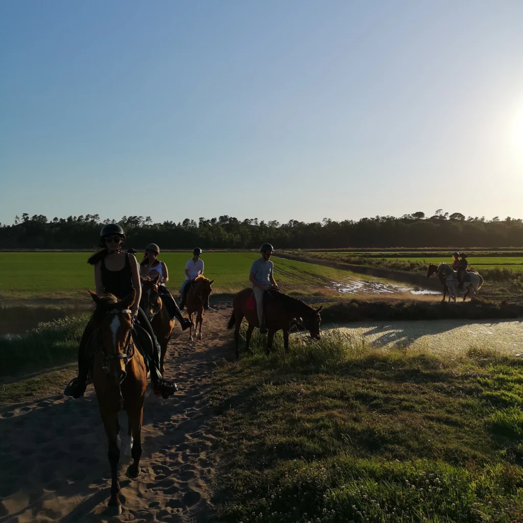 comporta-horse-riding