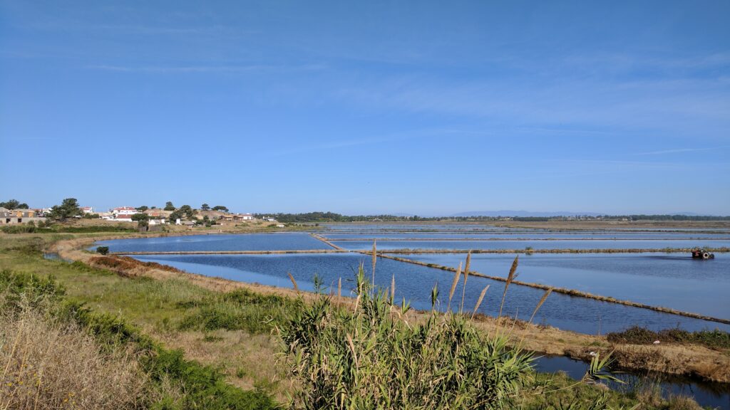 comporta-rice-fields