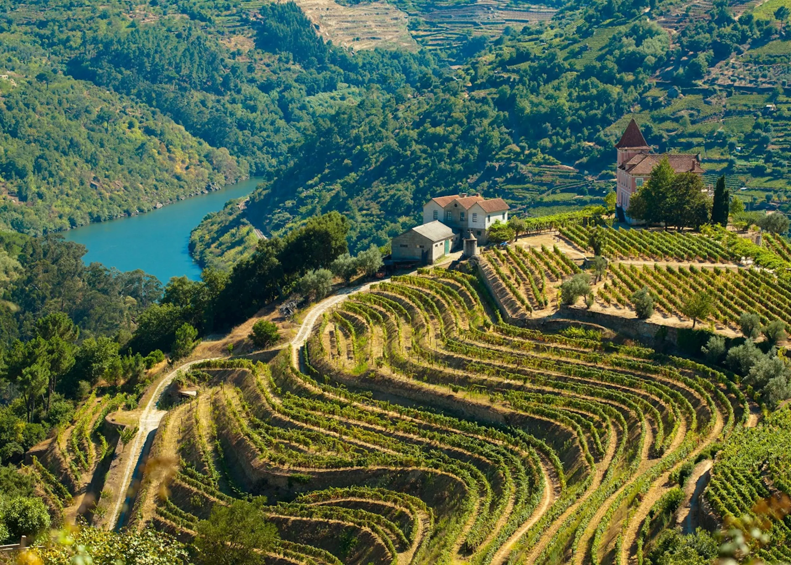 douro-winter-portugal