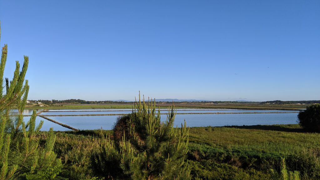 rice-fields-comporta