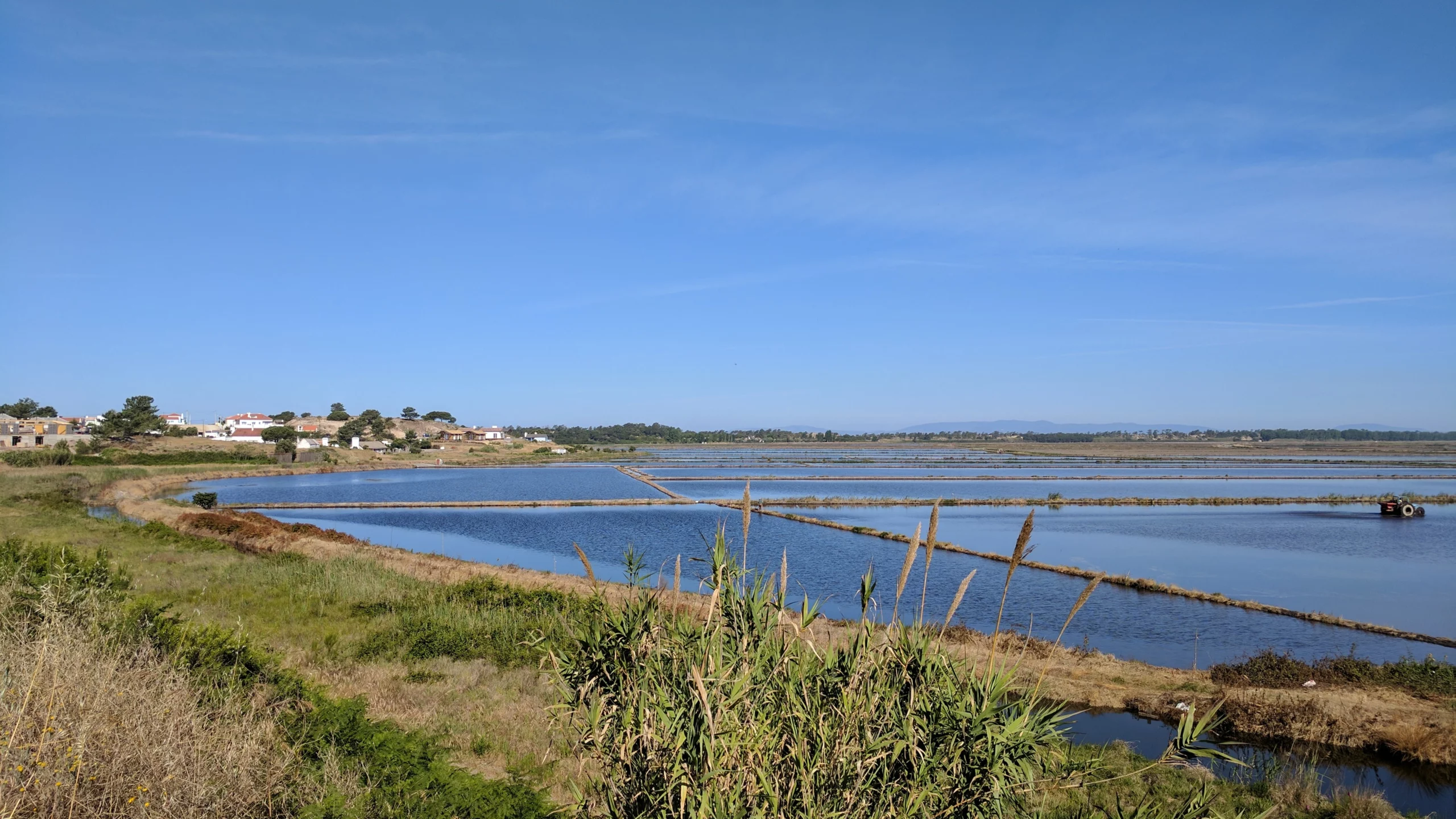 RICE-FIELDS