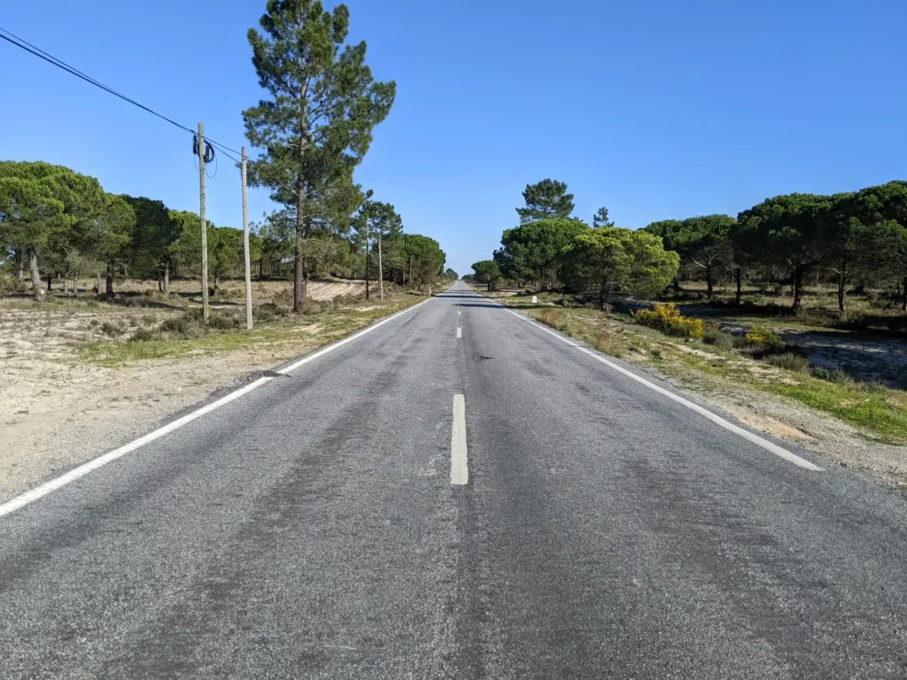 Comporta-road