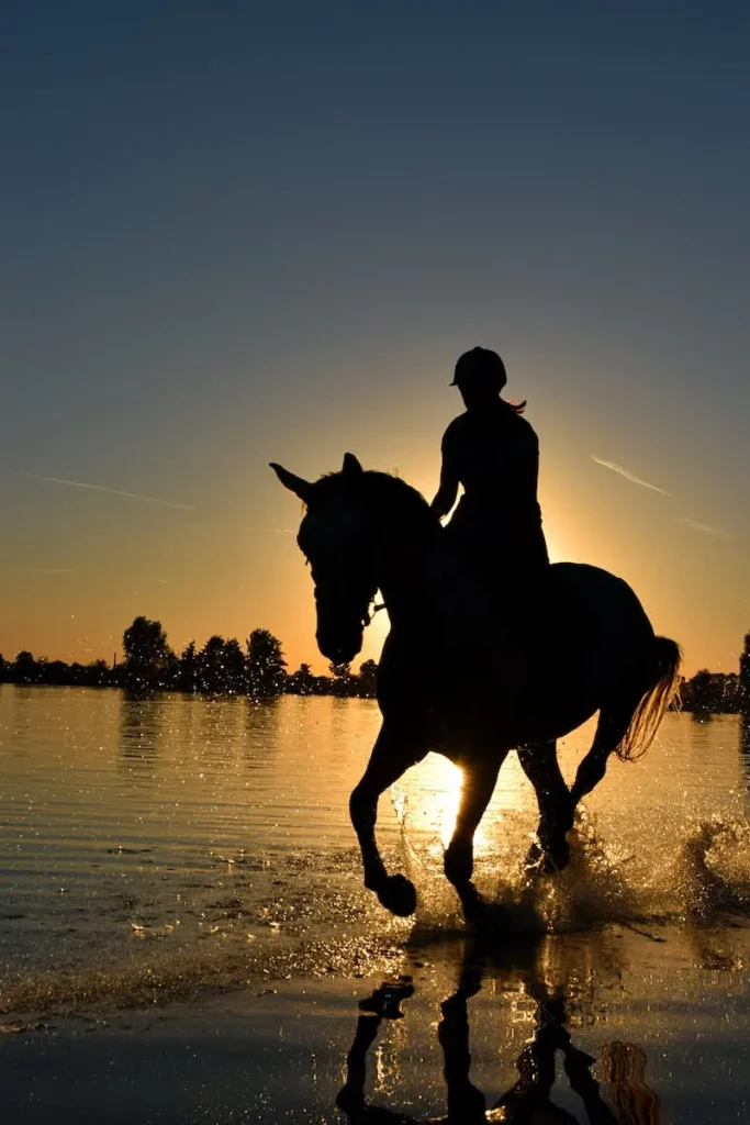 HorseRiding_comporta