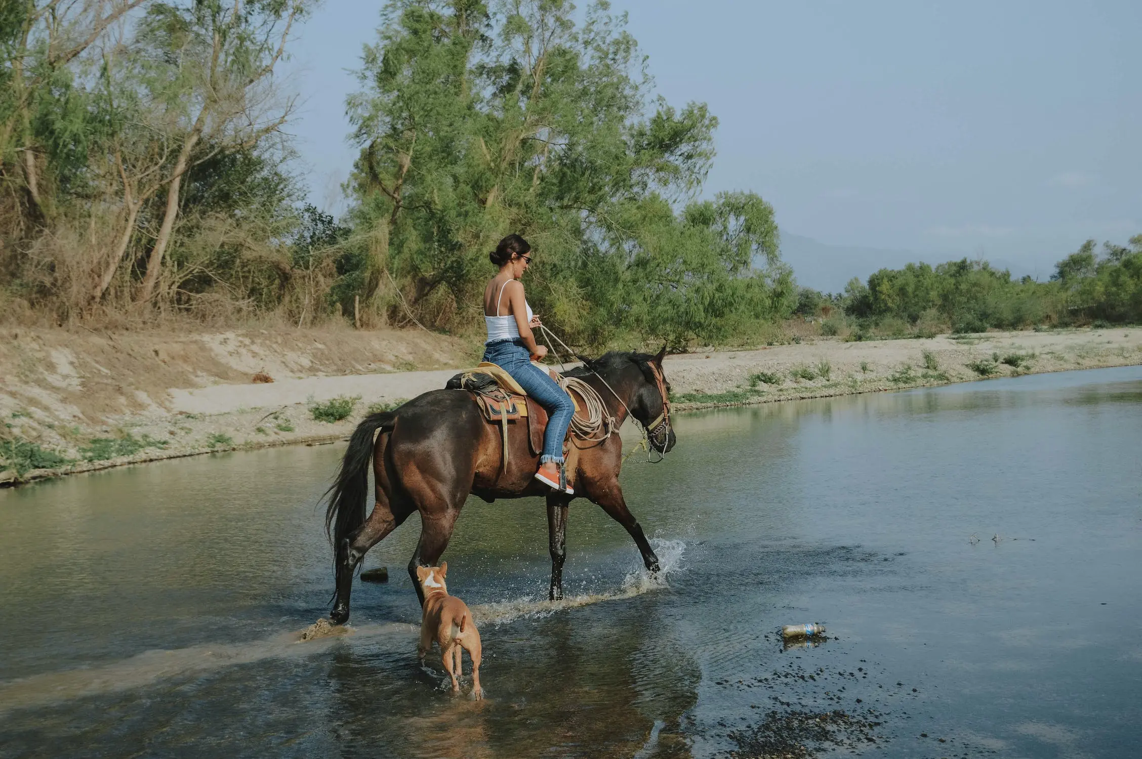 horse_riding