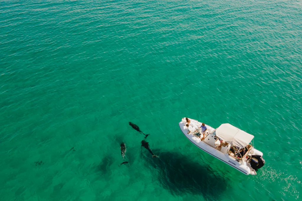 excursión_en_barco_a_Comporta