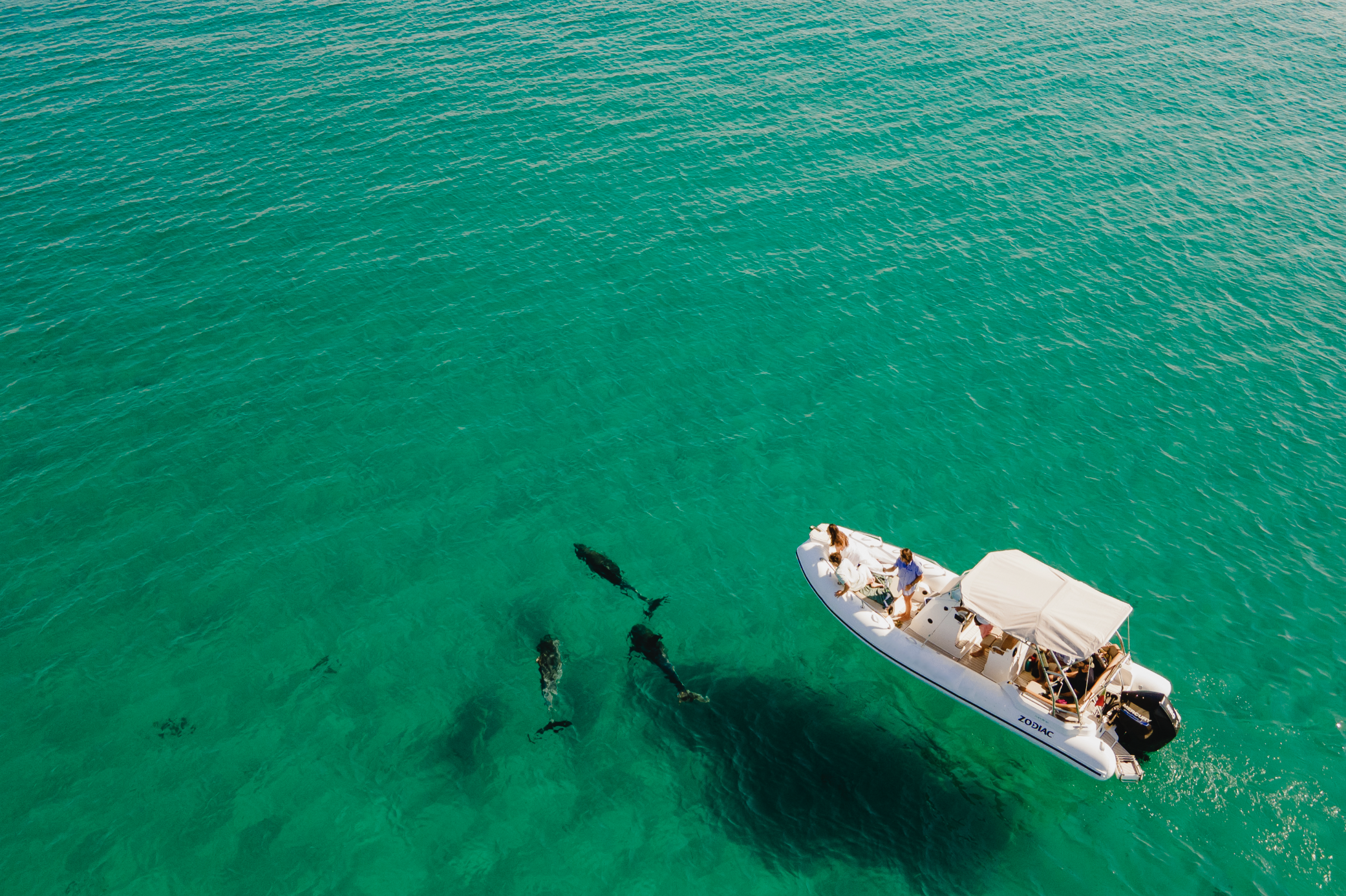 comporta_boat_trip