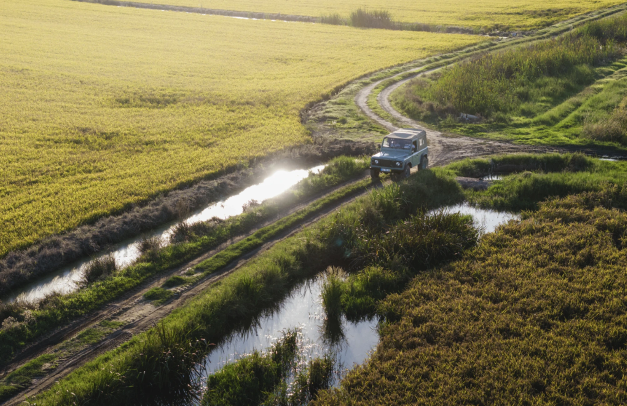 rice_fields_comporta