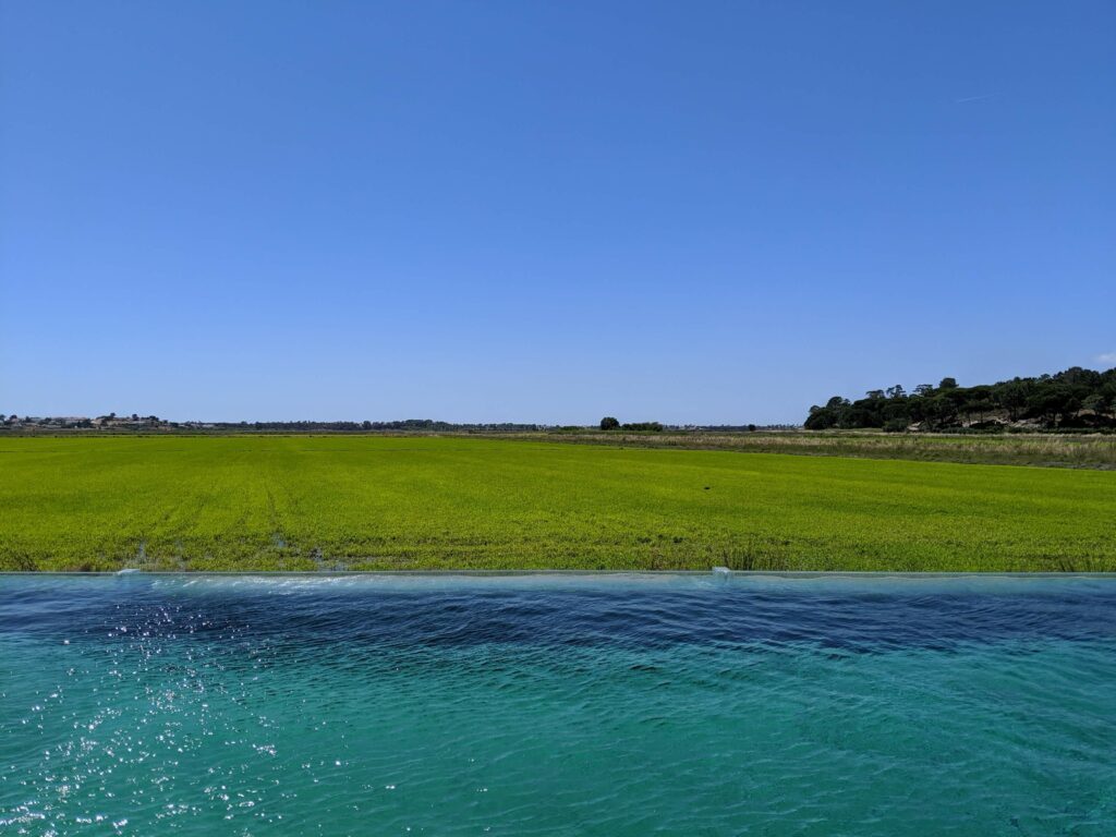 Iconic rice fields of Comporta in the Alentejo region
