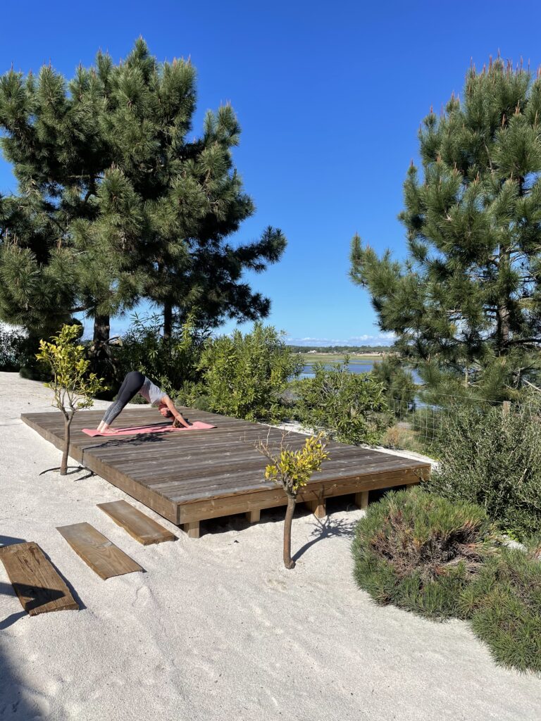 Doing yoga surrounded by nature — a must!