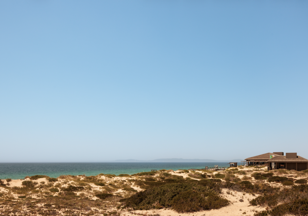 naturaleza en comporta